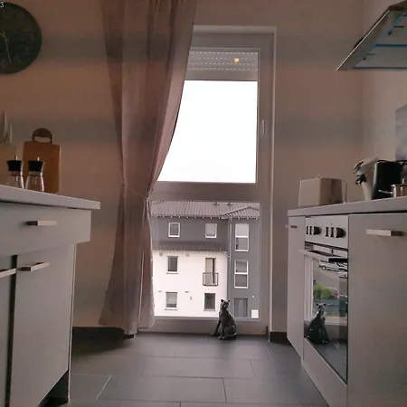 Neu Gebaut - Modern - - Boardinghouse Weisse Taube * Altenstadt